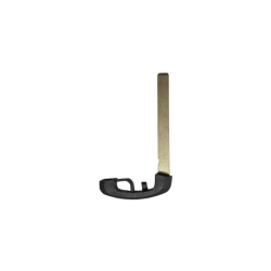 ESPADIN  TELEMANDO KEYLESS BMW CAS4 -FEM  HU100R