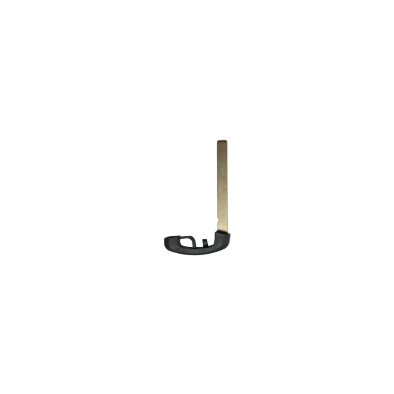 ESPADIN  TELEMANDO KEYLESS BMW CAS4 -FEM  HU100R