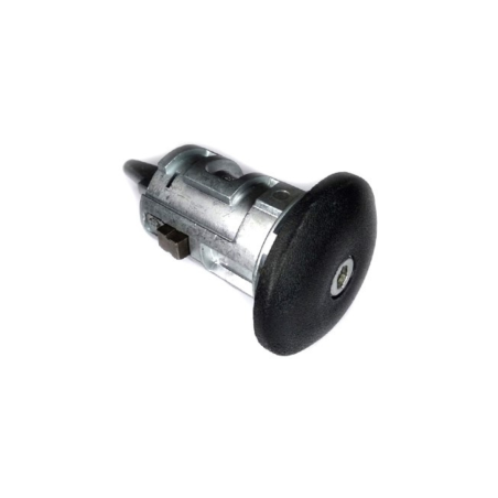 BOMBIN PTA LATERAL IZQ FORD TRANSIT CONNECT 2002+