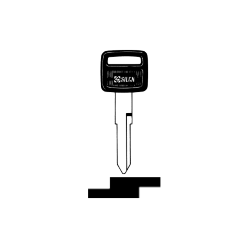 LLAVE VEHICULO CABEZAL PLÁSTICO ( laton)