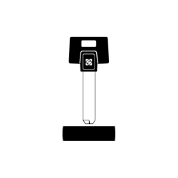 LLAVE VEHICULO CAB. PLASTICO ESPECIAL (alpaca)