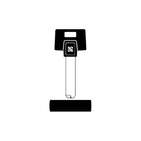 LLAVE VEHICULO CAB. PLASTICO ESPECIAL (alpaca)