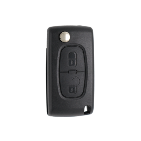 TELEMANDO PLEG P308/3008/5008 2009+ ID46 2 BOT