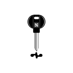 LLAVE VEHICULO CAB. PLASTICO ESPECIAL (alpaca)